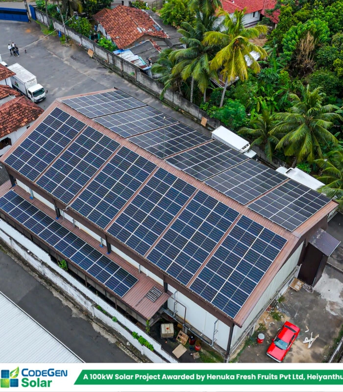 Henuka Fresh Fruits 100kW Project – Heiyanthuwa