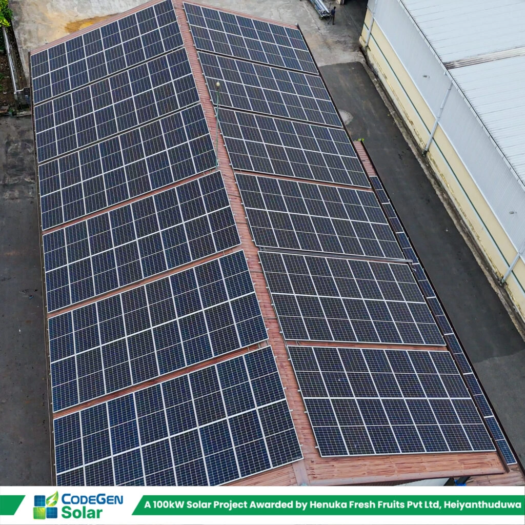 Henuka Fresh Fruits 100kW Project – Heiyanthuwa — photo 4